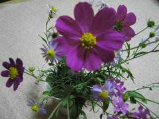 IMG_1673.JPG