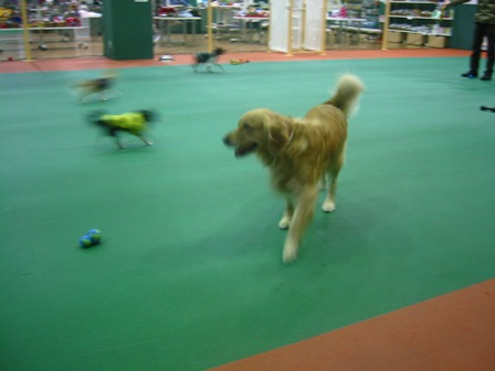 IMG_1286b.JPG