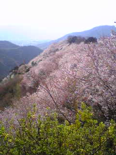 2009-04-11 21:19:11