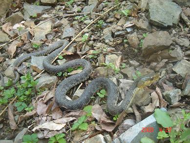 画像4-2 12019549711.JPG