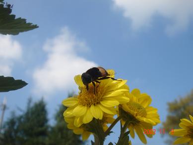 画像4 20891074471.JPG