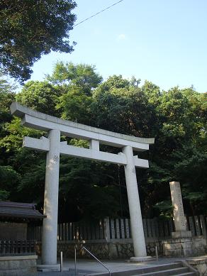 DSC01290.JPG