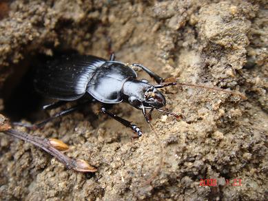 画像4 20891080971.JPG