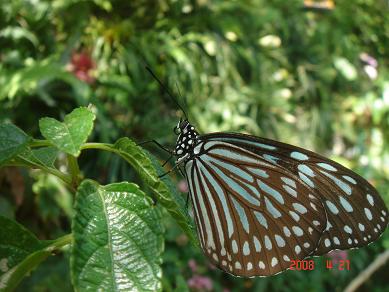 画像4-2 120195491.JPG