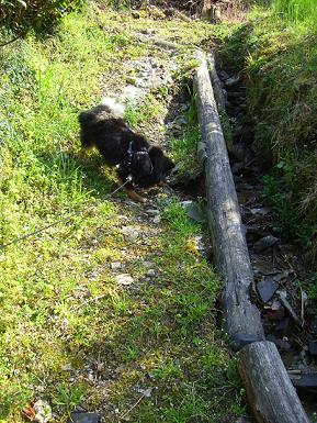 山１８（何これ？）