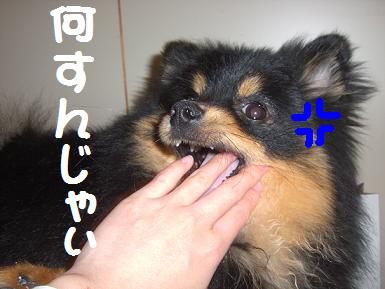 なにすんじゃぃ