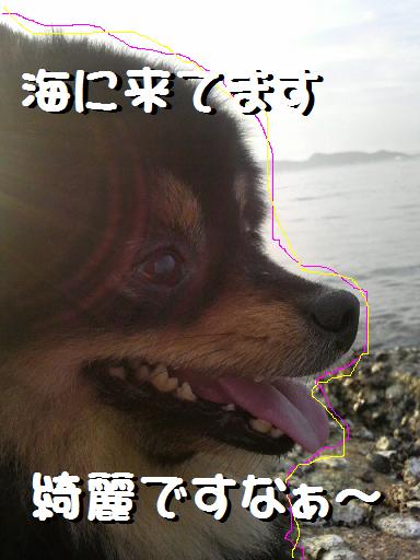 海は広いぃなぁ～