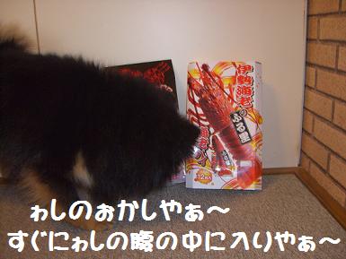 ゎしのおかし（笑）