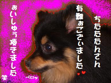 ご馳走様でした　ペコ　（＿　＿