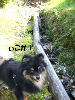 山２０（いこか）