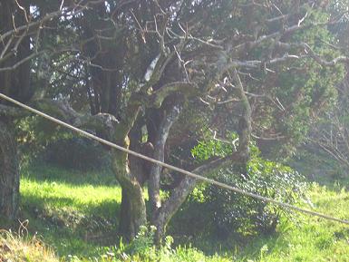 山１１（到着）