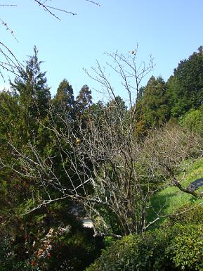 山１６（なんや？）