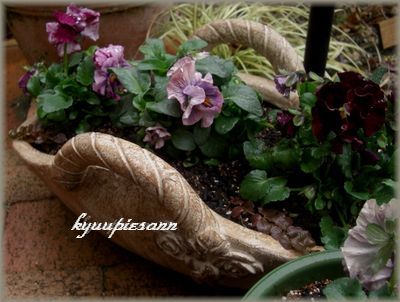 ムーランルージュキャンティ