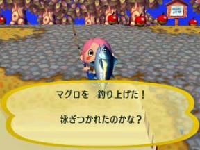 マグロが釣れた
