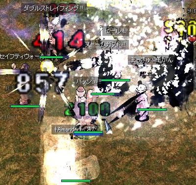 255.jpg