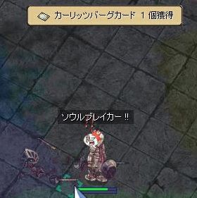333.jpg