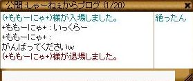 290.jpg