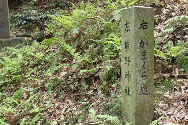 画像 2682.jpg