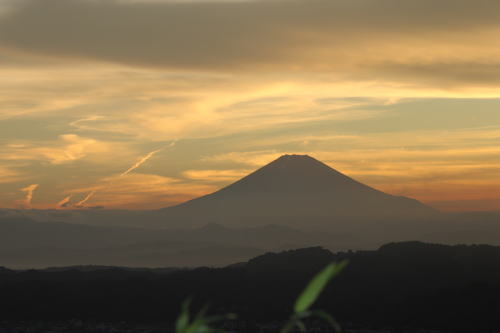 画像 3021.jpg