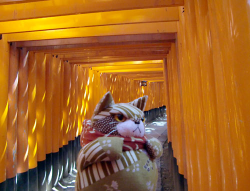 20100327_kyoto.jpg