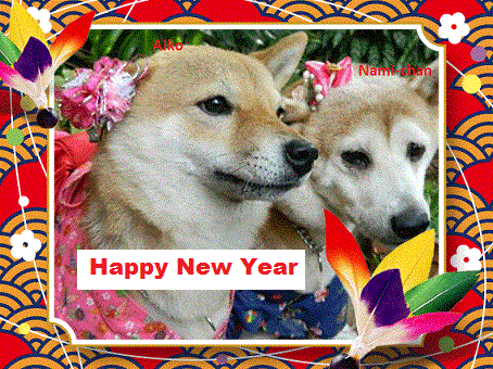 new year -card-for-2012sWEB.gif