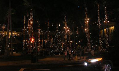 hawaii2009 021.jpg