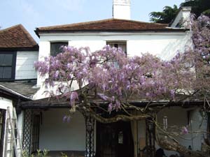 garden2.jpg