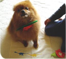 デジカメ 629.jpg