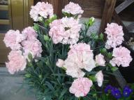 デジカメ 638.jpg