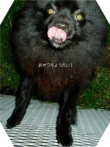 デジカメ 421.jpg