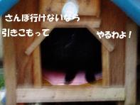 デジカメ 425.jpg