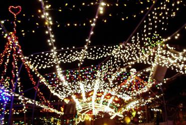 デジカメ 436.jpg