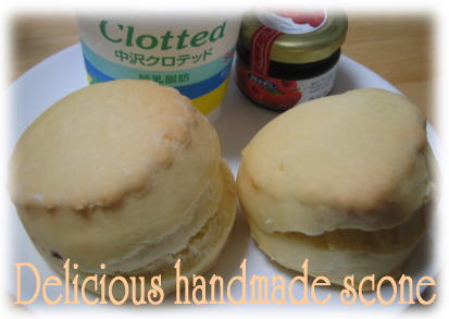 Delicious handmade scone.jpg