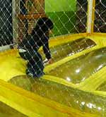 200701161343.jpg