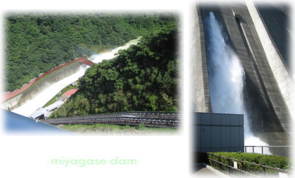 dam1.jpg