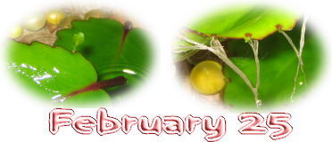 February 25.jpg