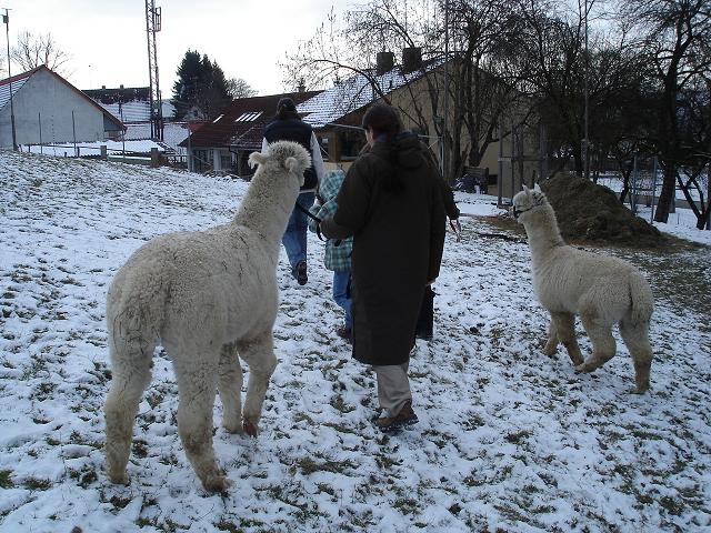20110123_50_15.JPG