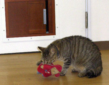CIMG0033.jpg