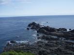 P6060870p.JPG
