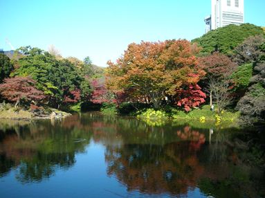 101129korakuen (14) - コピー.JPG