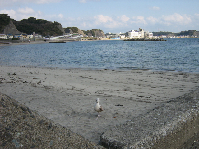 勝浦市串浜海岸