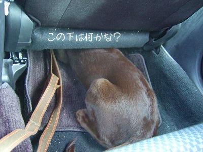 なぜか気になるシートの下