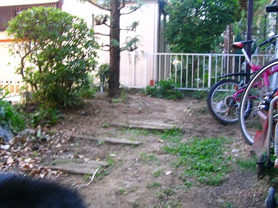 早すぎて取れない