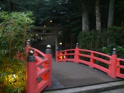 夜の神社.jpg