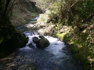 天安河原.　渓流.jpg