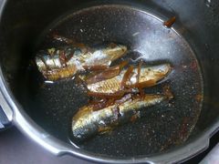 10420448_468252429s.jpeg