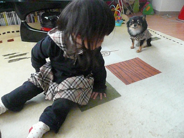 P1230225.jpg