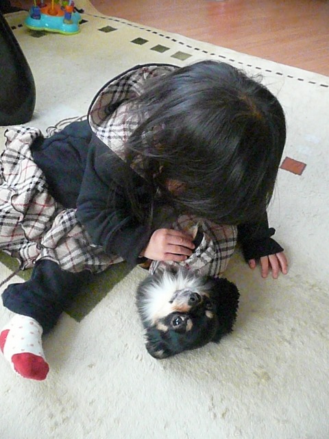 P1230223.jpg