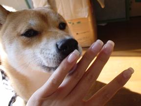 こあんとスカルプ３