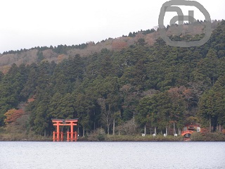 箱根神社.jpg